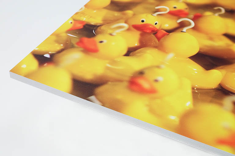 Smart X Board Printing | SAS Graphics Brighton