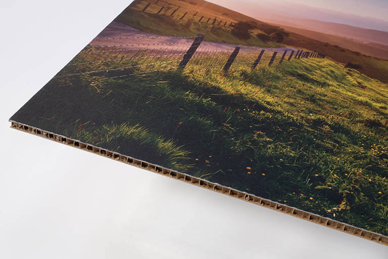 Xanita Board Printing | SAS Graphics Brighton