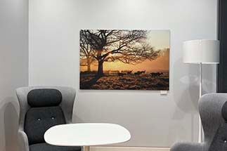 board printing Brighton